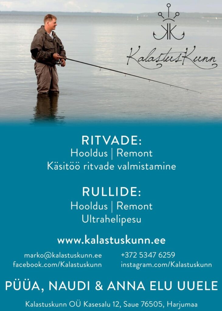 Ritvade hooldus ja remont